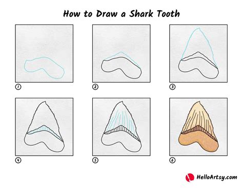 How to Draw a Shark Tooth HelloArtsy