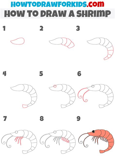 How to Draw a Shrimp Step by Step Easy Drawing Guides Drawing Howtos