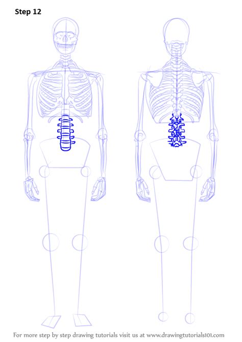 How to Draw a Skeleton (Everyday Objects) Step by Step