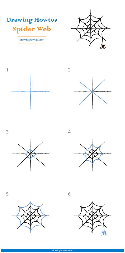 How to Draw a Spider Web Simple Step by Step Video Instructions