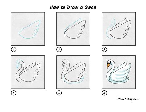 How to Draw a Swan Step by Step Easy YouTube