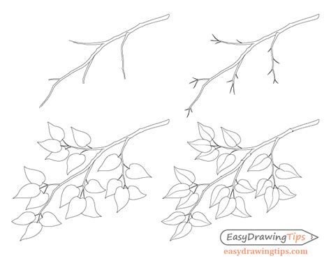How to Draw a Tree Branch With Leaves EasyDrawingTips Tree branches