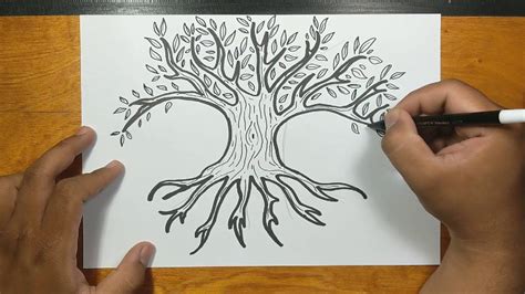 How to Draw a Tree of Life Wiki Drawing Trees