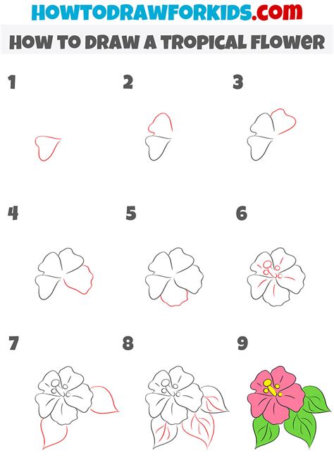 How to Draw a Tropical Flower Easy Drawing Tutorial For Kids