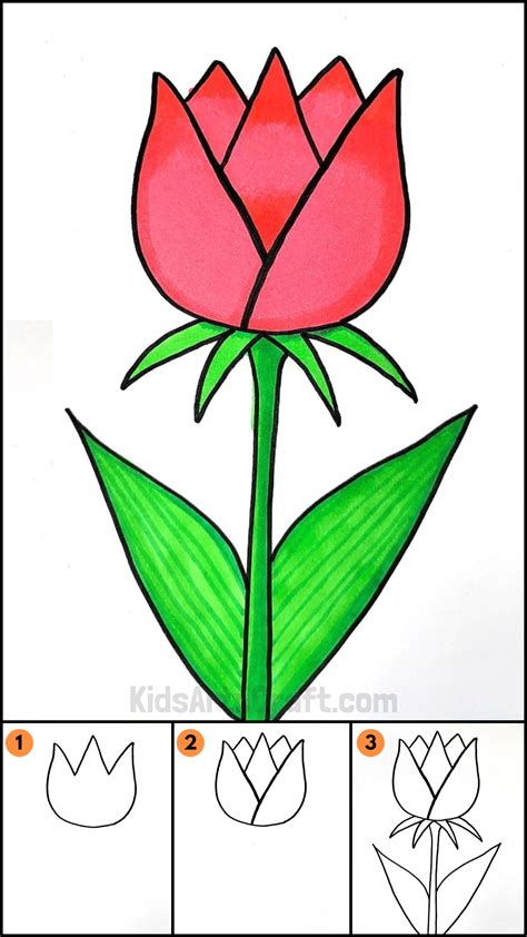 How to Draw a Tulip Really Easy Drawing Tutorial Flower drawing