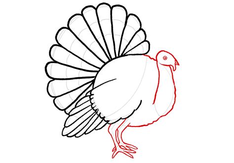 How to Draw a Turkey. A stepbystep tutorial for young artists. PDF