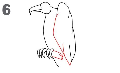 How to Draw a Vulture Really Easy Drawing Tutorial Animal drawings