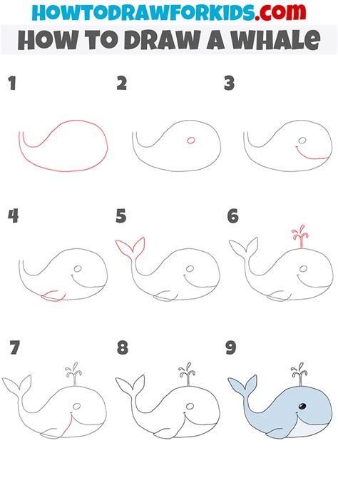 How to Draw a Whale Step by Step Whale WhaleDrawing Drawing 