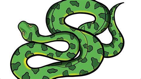 How to Draw a Yellow Anaconda