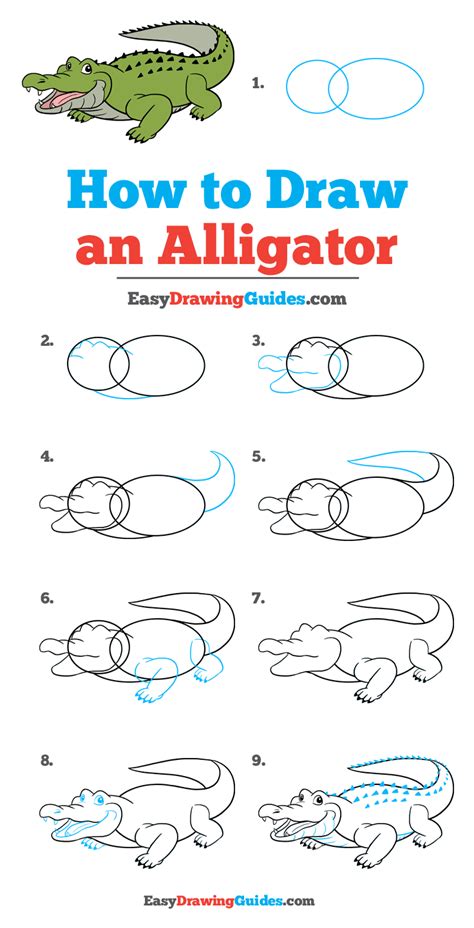 How to Draw an Alligator Really Easy Drawing Tutorial Drawing