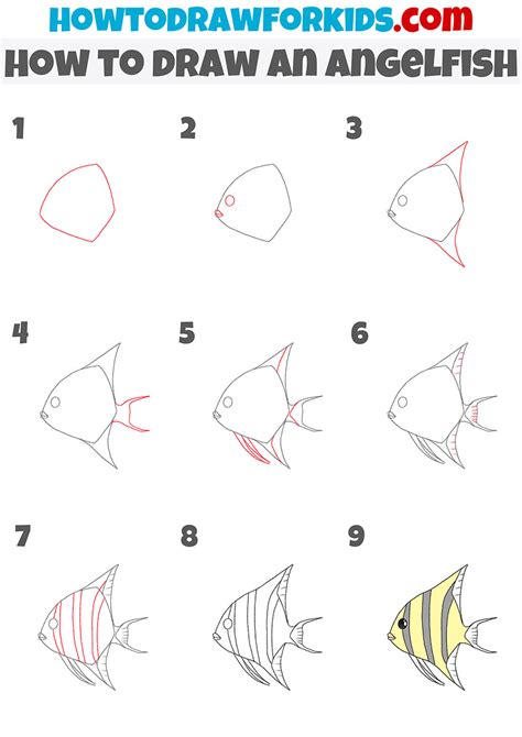 How to Draw an Angelfish