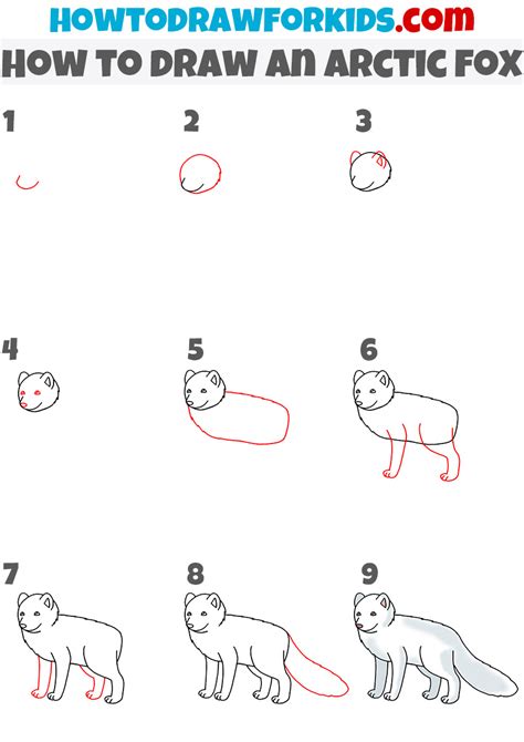 How to Draw an Arctic Fox Easy Drawing Tutorial For Kids Drawing