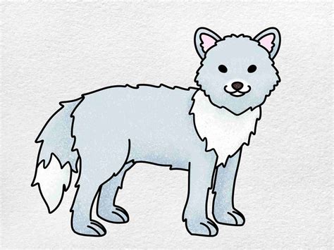 How to Draw an Arctic Fox Really Easy Drawing Tutorial