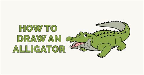How to Draw an Easy Alligator Step by Step Viera Postencell