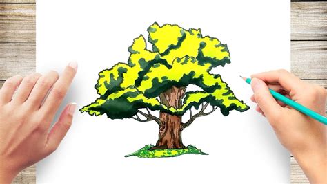 How to Draw an Oak Tree in a Few Easy Steps Drawing Tutorial for