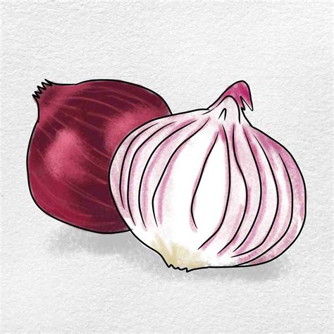 How to Draw an Onion HelloArtsy