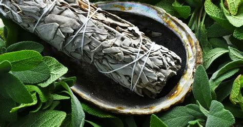 How to Dry Sage Our Everyday Life