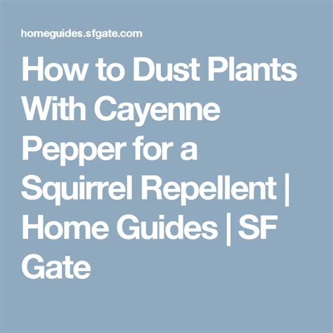 How to Dust Plants With Cayenne Pepper for a …