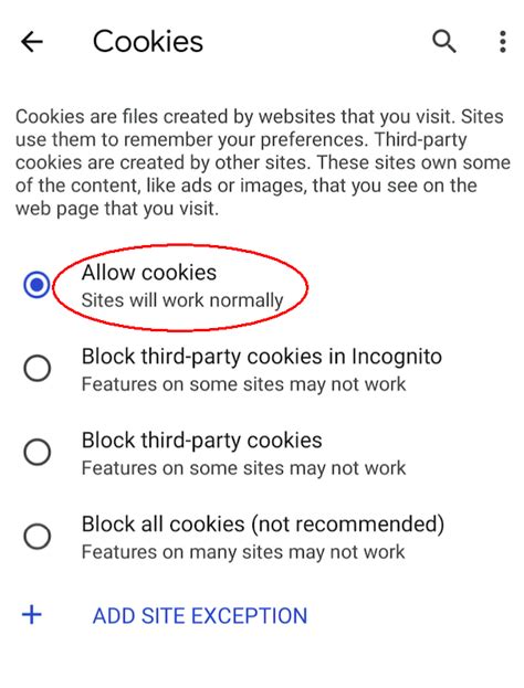 How to Enable Cookies on Android