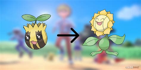 How to Evolve Sunkern in Pokemon Scarlet and Violet TechStory