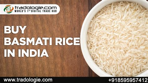 How to Export Basmati Rice from India Tradologie.com