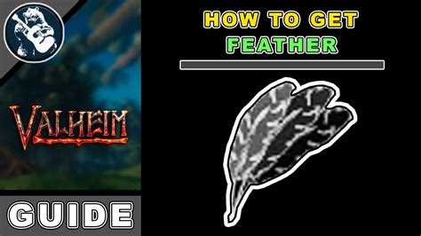 How to Farm Get Feathers Tutorial in Valheim Farming Beginners Guide