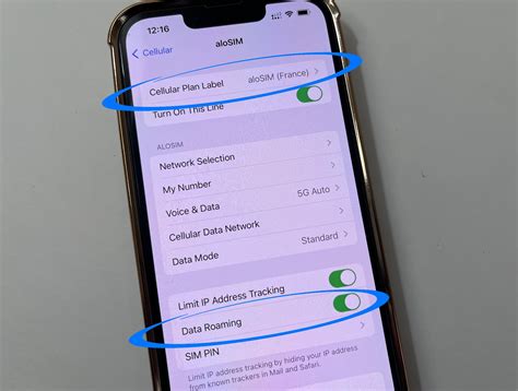 How to Fight iPhone Data Roaming Charges