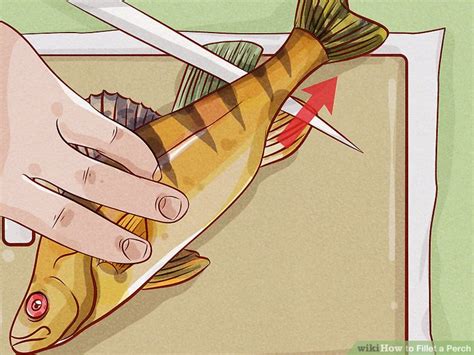 How to Fillet a Perch: 13 Steps (with Pictures) - wikiHow