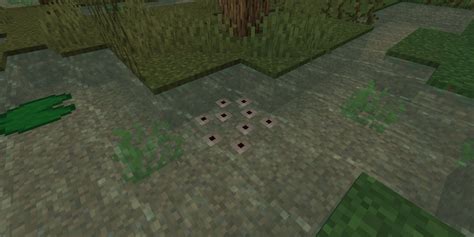 How to Find Frogspawn in Minecraft 