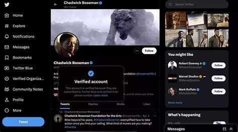 How to Find Real Celebrities on Twitter