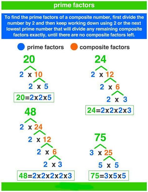 How to Find The Prime Factors Using Factor Tree A Plus Topper https