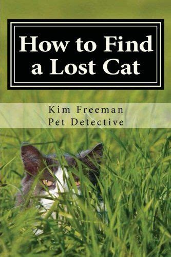 How to Find a Lost Cat: The professional guide to the correct …