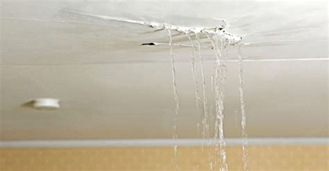 How to Find a Water Leak Inside a Wall - Accurate Leak and Line