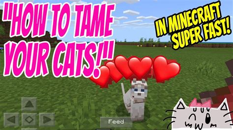 How to Find and Tame a Cat in Minecraft 