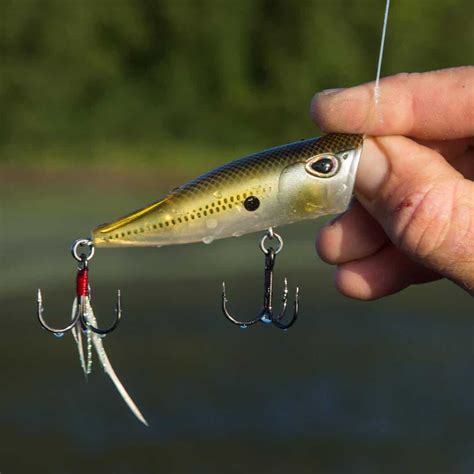 How to Fish Topwater Lures Salt Water Sportsman