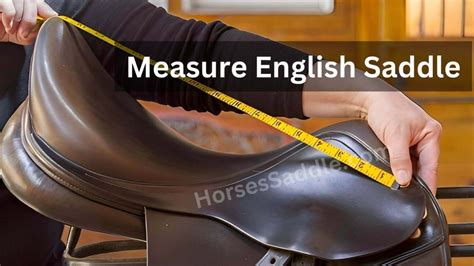 How to Fit and Measure for an English Saddle Schneiders Saddlery