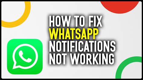 How to Fix WhatsApp Notifications Not Working
