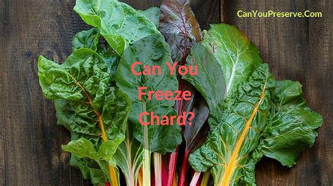 How to Freeze Chard - Yahoo