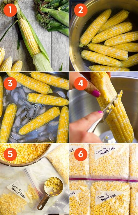 How to Freeze Corn: Blanching and Freezing Corn on the Cob