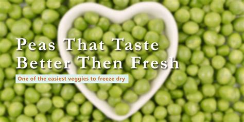 How to Freeze Dry Peas Freeze Dried Guide