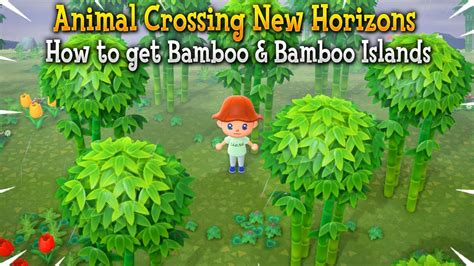 How to Get Bamboo in Animal Crossing New Horizons