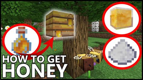 How to Get Honey From a Beehive in Minecraft