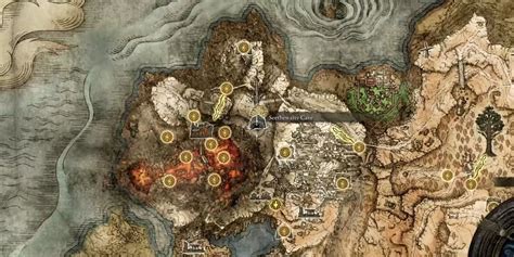 How to Get Mushrooms: Effects and Locations Elden Ring