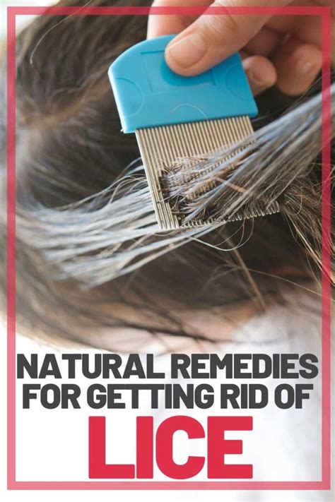 How to Get Rid of Lice Naturally: 5 Steps & Home Remedies