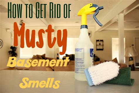 How to Get Rid of a Musty Smell in Your Basement