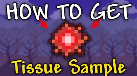 How to Get Tissue Sample in Terraria VGKAMI