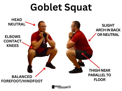How to Goblet Squat Form, Tips & More Sport Science Insider