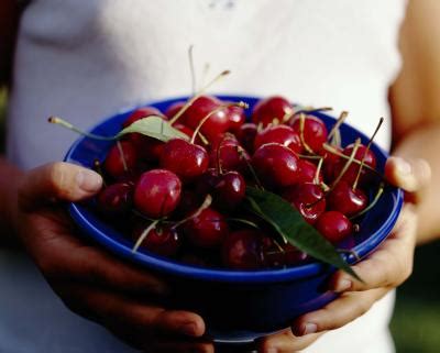 How to Grow Bing Cherries From Pits Home Guides SF Gate