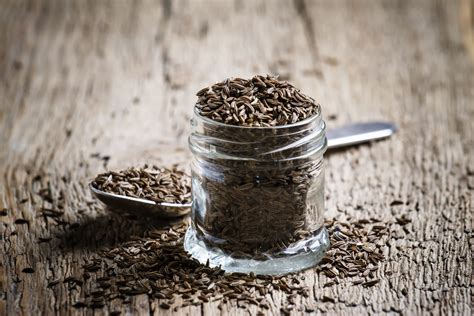 How to Grow and Use Caraway