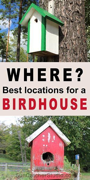 How to Hang a Birdhouse: Tips on Location, Mounting,